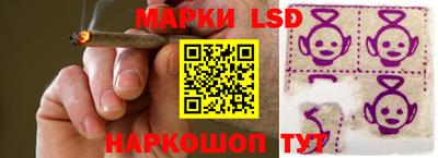 крисы Тверь