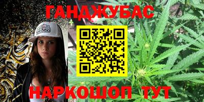 крисы Тверь