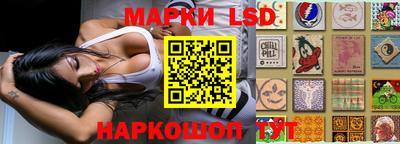 крисы Тверь