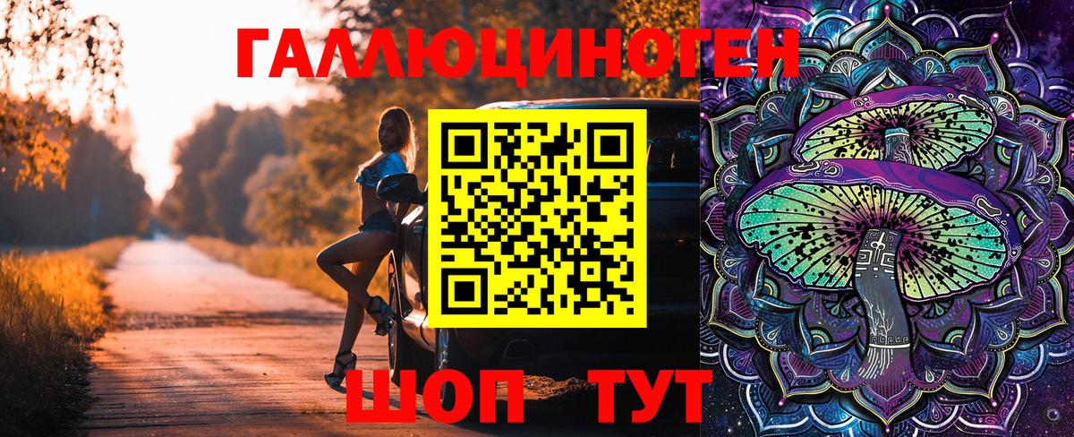 Галлюциногенные грибы GOLDEN TEACHER  Вход с VPN  Галлюциногенные грибы MAGIC MUSHROOMS  Нерюнгри 