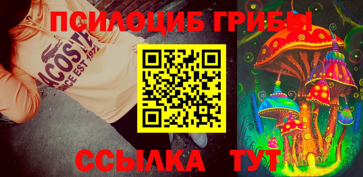 Псилоцибиновые грибы Psilocybine cubensis Нерюнгри